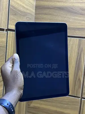 Apple iPad Air 256 GB Gray