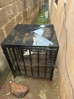 Iron Dog Cage