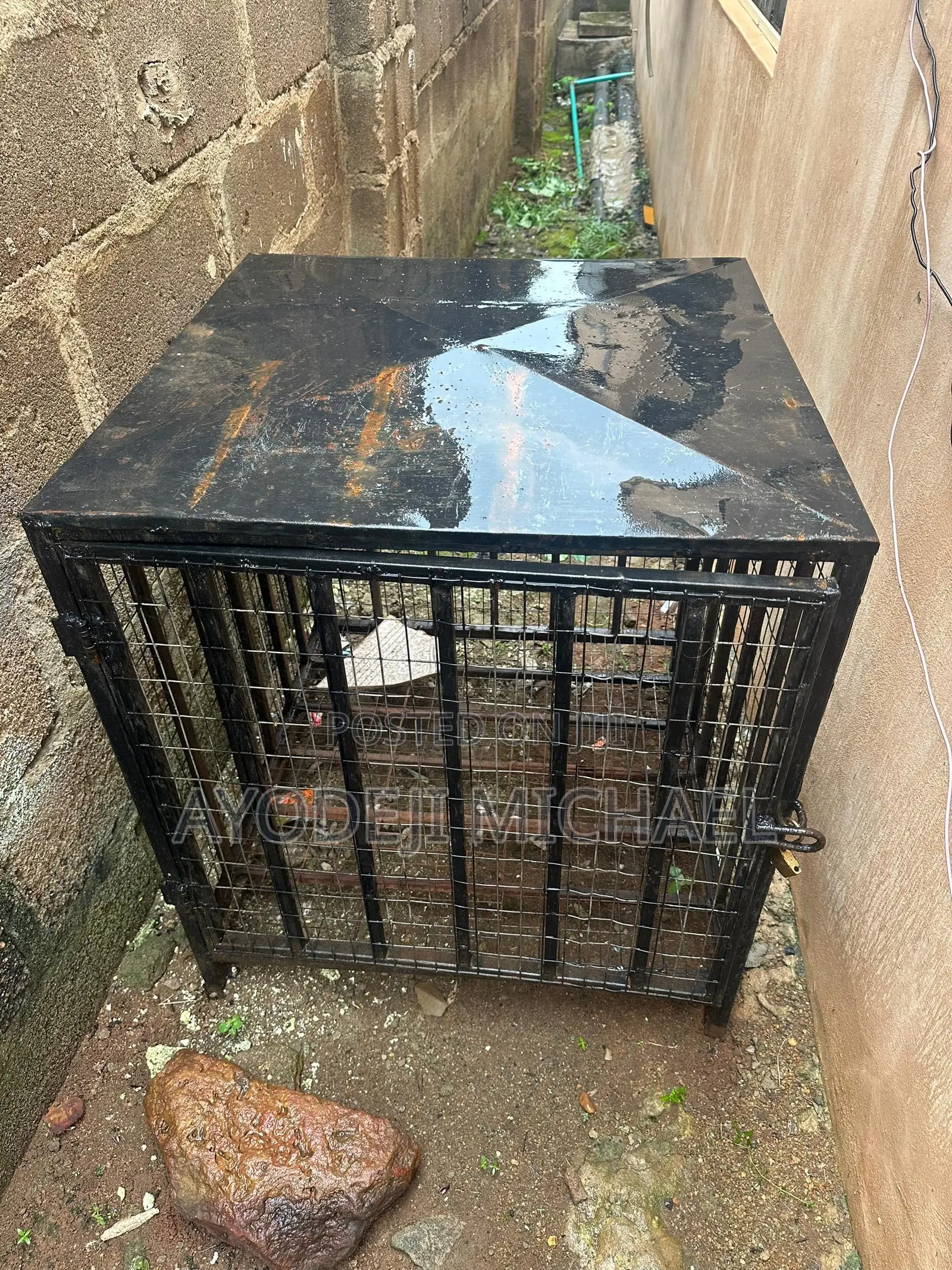 Iron Dog Cage