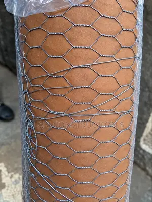 Galvanized Chicken Net Wire Mesh / Bokoharam Mesh