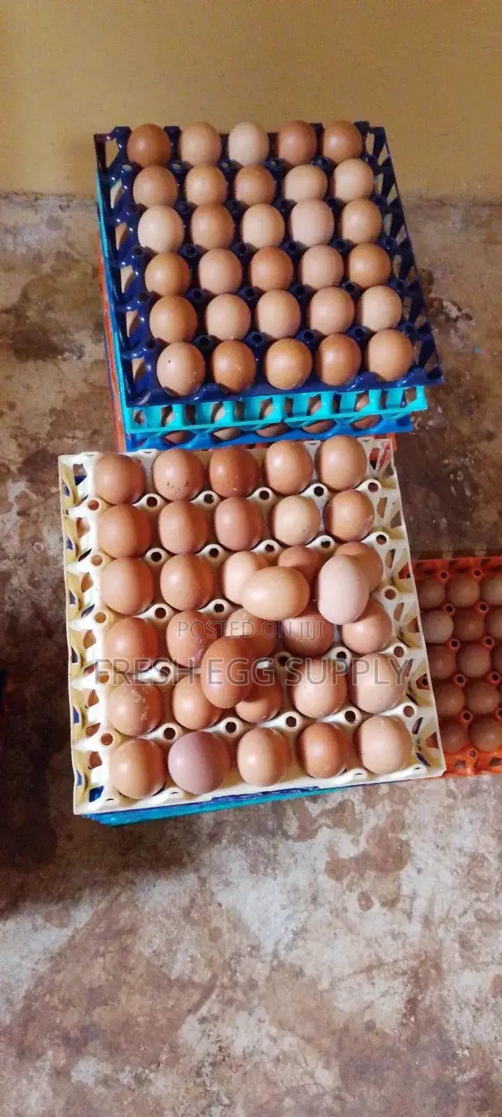 Fresh Eggs for Sale – Crate and Bulk Orders