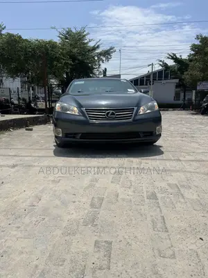 Lexus ES 350 2010 Gray
