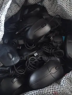 Computer Mouse