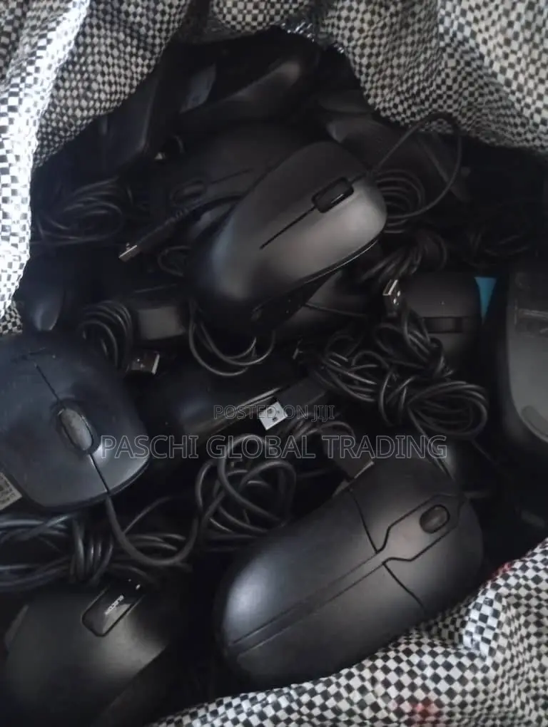 Computer Mouse