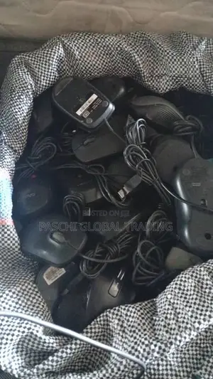 Computer Mouse