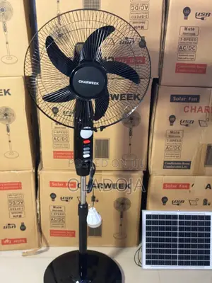Standing Solar Fan