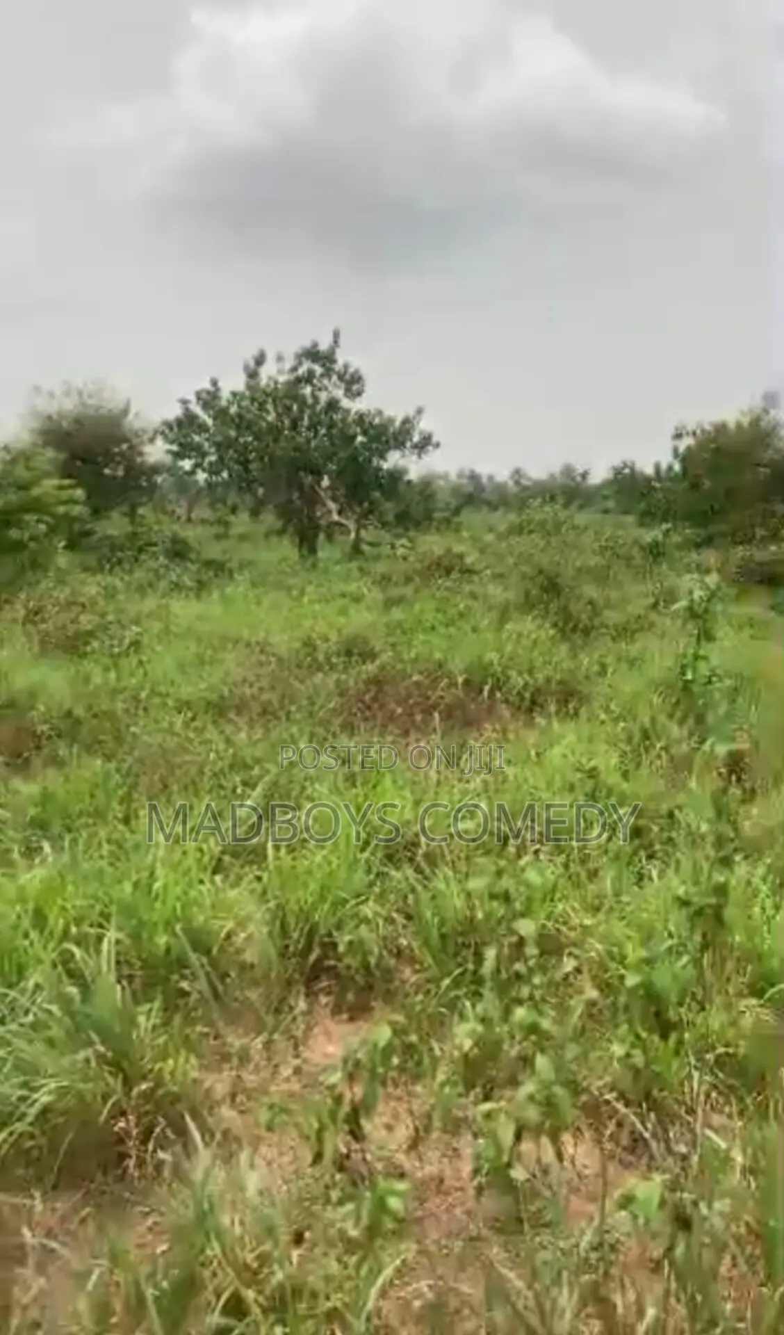 Half Plot for Sell