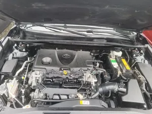 Toyota Camry XLE (2.5L 4cyl 8A) 2019 Black