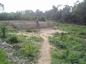 Land Two Plots