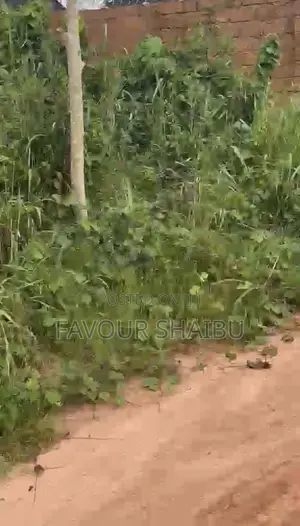 100x100 Plot of Land for Sale in Evboleka, Benin