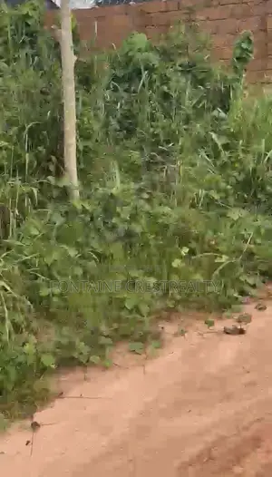 100x100 Plot of Land for Sale in Evboleka, Benin