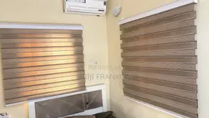 Window Blinds X2