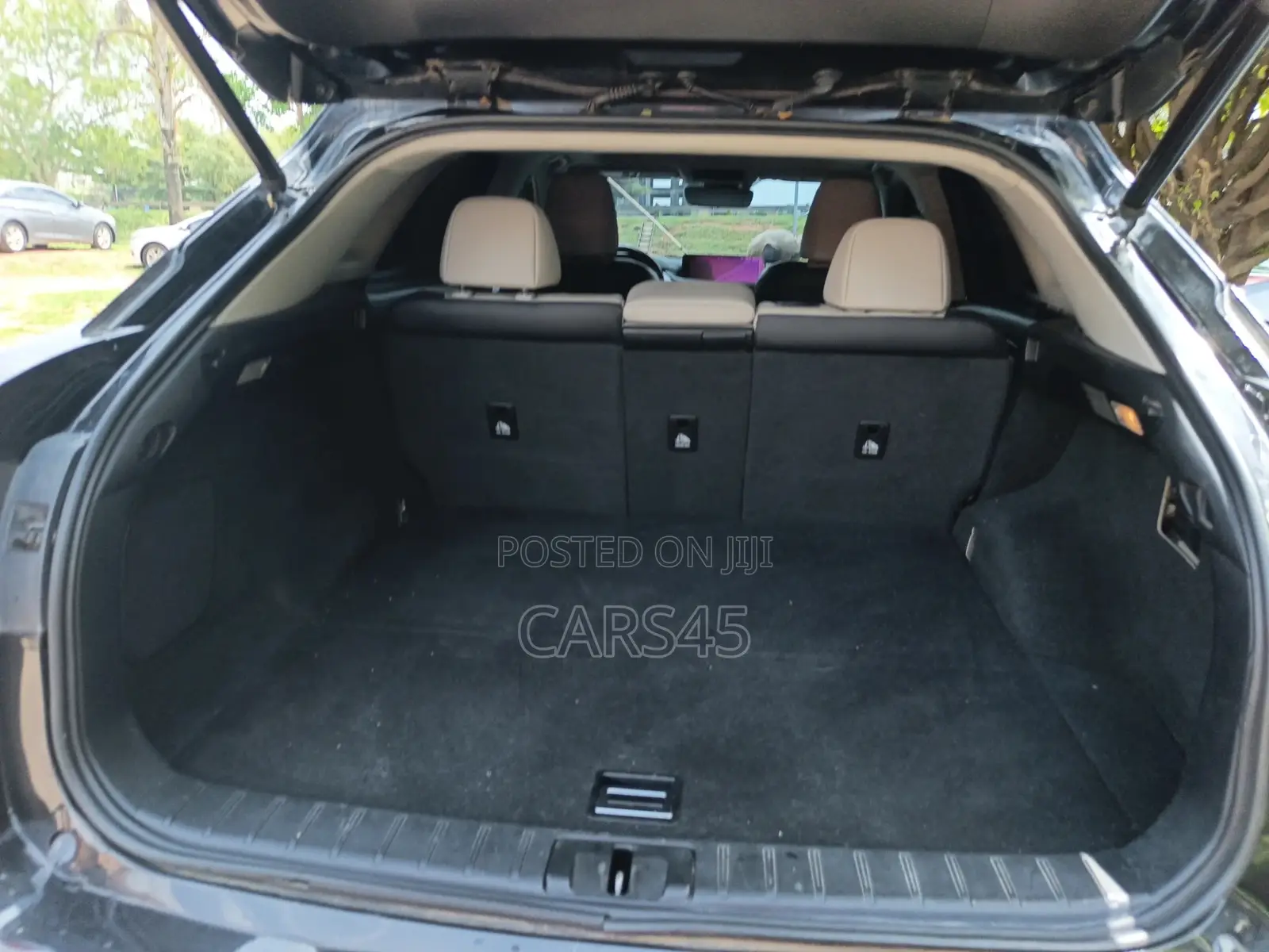 Lexus RX 2019 Black
