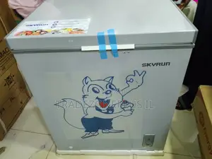 SKYRUN 145L Inverter Chest Freezer at a Great Price