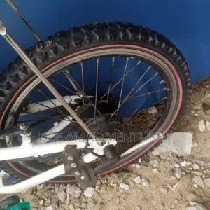 36v Lithium Battery Electric Bicycle