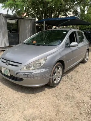 Peugeot 307 2007 Silver