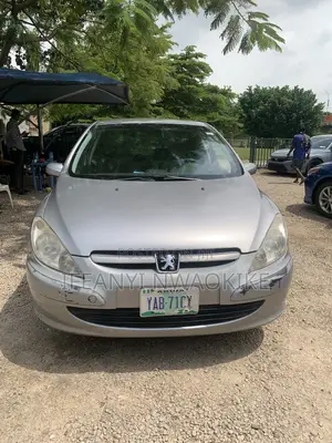 Peugeot 307 2007 Silver