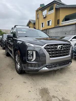 Hyundai Palisade 2020 Gray