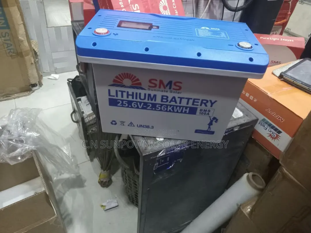 2.5kwh/24v SMS Lithium-Iron Phosphate Energy Storage Battery System