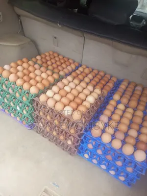 Fresh Eggs