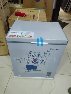 Upgrade Your Storage With SKYRUN BD-180AI 145L