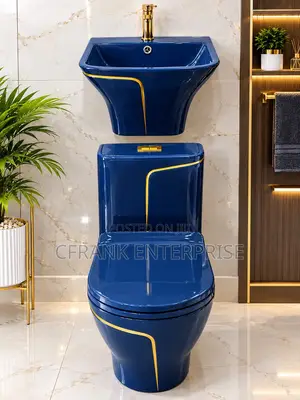 Mary Me Water Closet (WC) , Anambra State | C Frank Enterprise