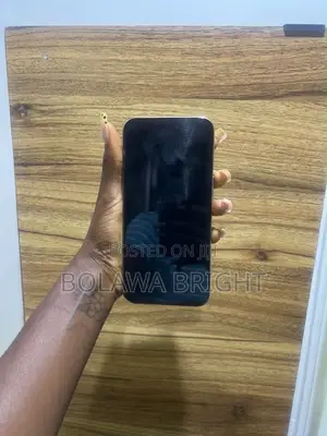 Apple iPhone 15 Pro Max 256 GB Graphite