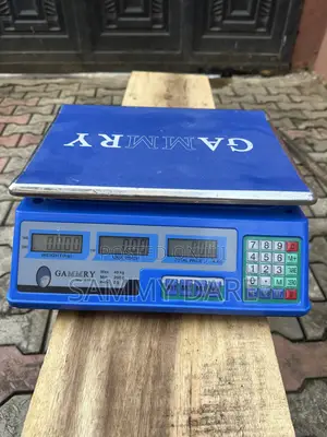 40kg Dual Display Digital Scale
