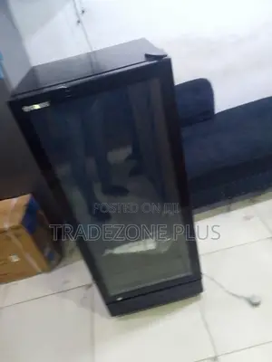 Snowsea Upright Cooling Cabinet With 270L Capacity