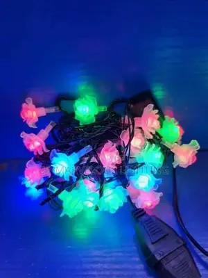 Colorful LED Decorative String Lights for Christmas