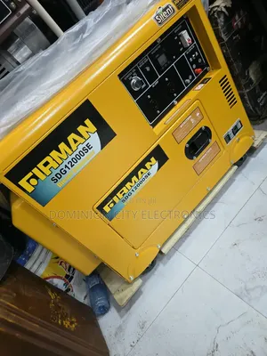 This Is Firman Diesel Soundproof Gen 100% Copper Coil