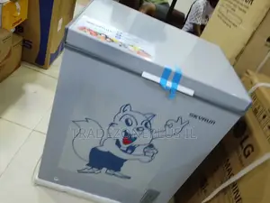 SKYRUN BD-180AI 145L Freezer for Family Needs