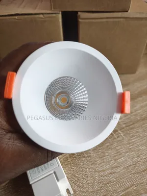 10w Spot Light