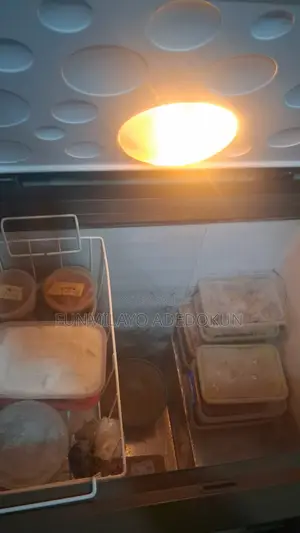 Haier Thermocool Inverter Freezer