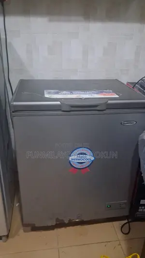 Haier Thermocool Inverter Freezer