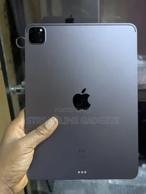 Apple iPad Pro 11 (2021) 256 GB Gray