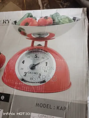 CAMRY Kitchen Scale