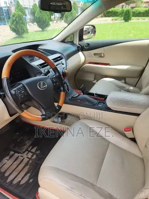 Lexus RX 350 2010 Brown