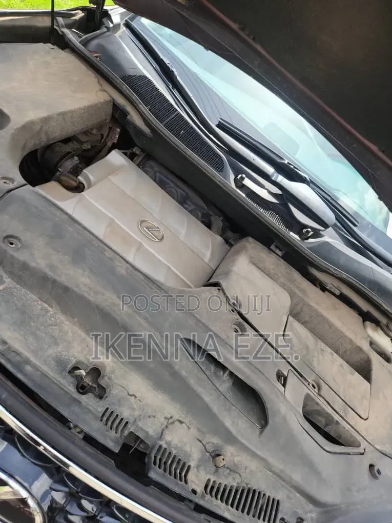 Lexus RX 350 2010 Brown