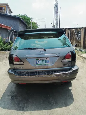 Lexus RX 300 4WD 2002 Gray