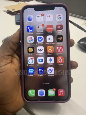 Apple iPhone 12 Pro Max 256 GB Gray