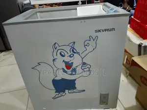 SKYRUN BD-180AI 145L Freezer for Meat and Fish Storage