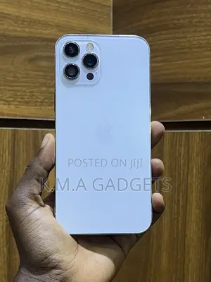 Apple iPhone 12 Pro Max 256 GB Silver
