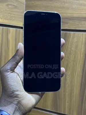 Apple iPhone 12 Pro Max 256 GB Silver