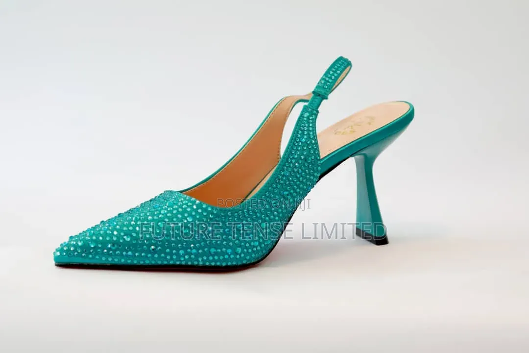 Luxurious Shoe and Bag