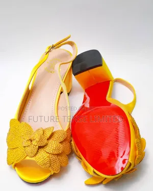 Luxurious Shoe and Bag