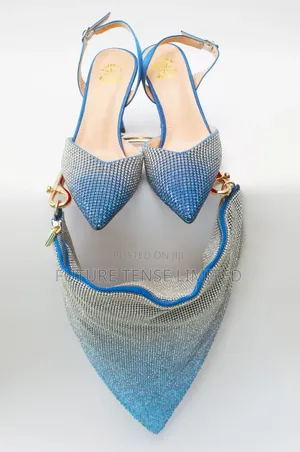 Luxurious Shoe and Bag