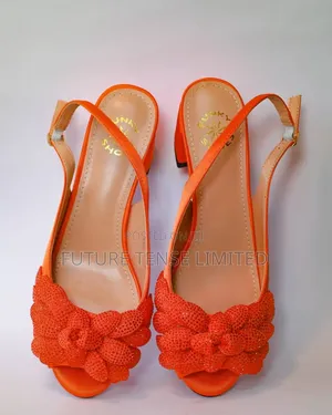 Luxurious Shoe and Bag