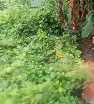 650sqm Land for Sale at Army Estate Effurun Delta State