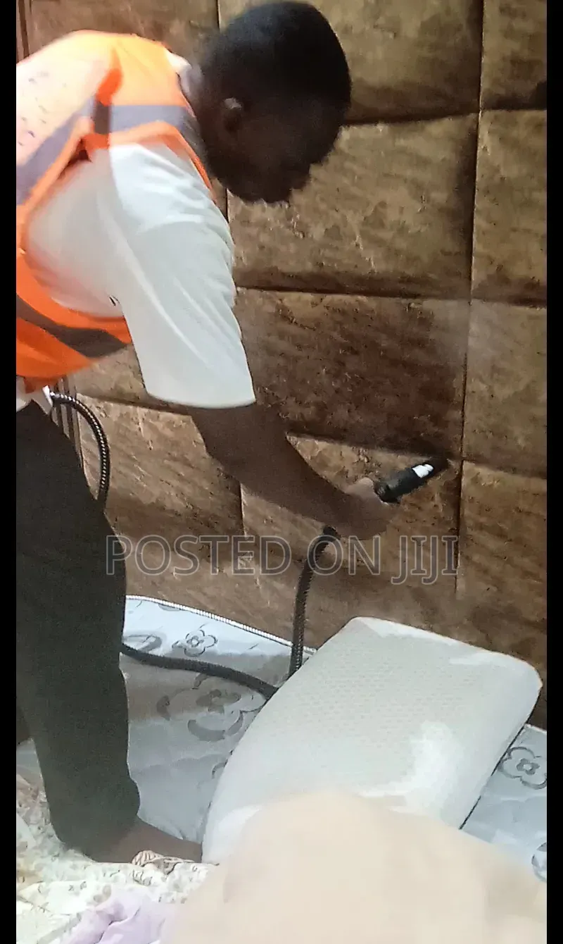 Professional Sofa Cleaning Services Abuja